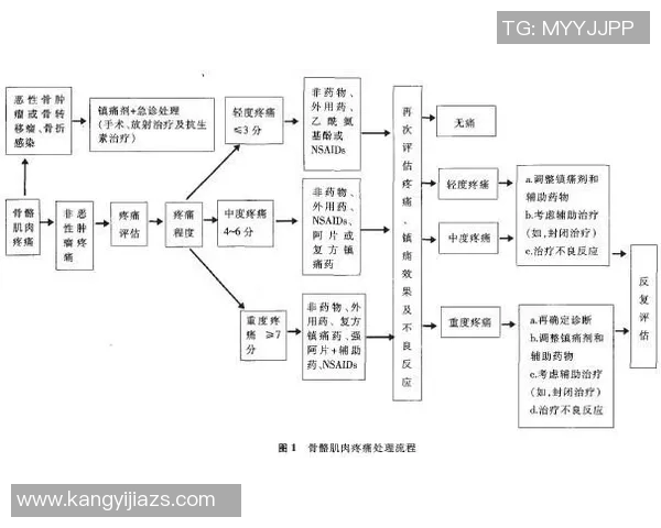 广州网球队的战术解析与控制体系的深度剖析与应用探讨