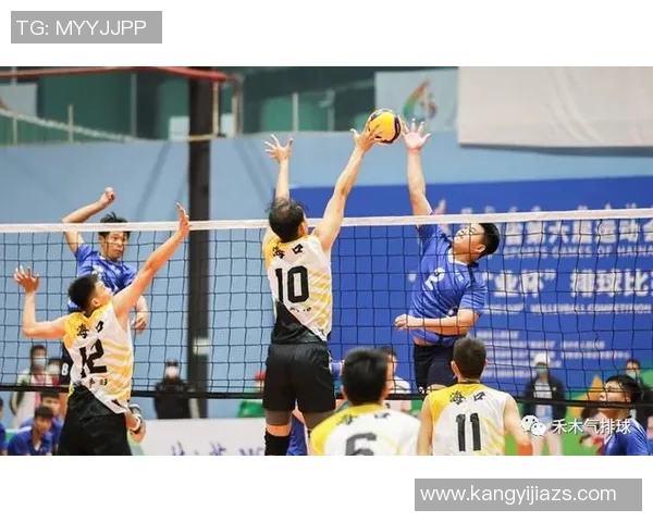 深入探讨上海篮球队战术配合与对手的差异及其影响分析