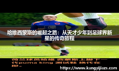 米兰体育平台
