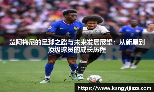 米兰体育官网
